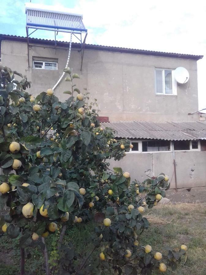Udabno Naili Exterior foto